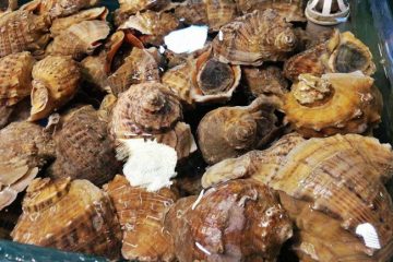 海鲜提货系统，土特产提货系统