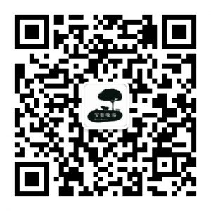 Gift Card System Gift Card System